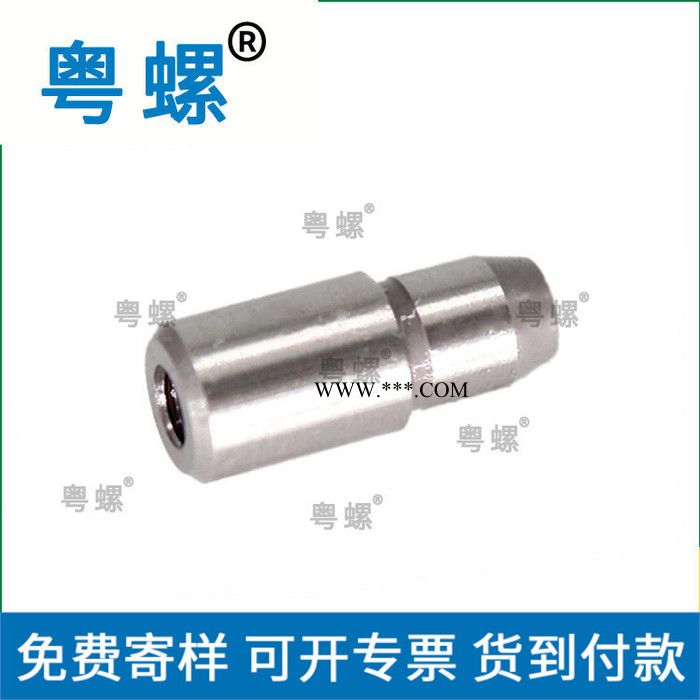中山定制小头锥角定位销钉 不锈钢销轴制造厂 圆柱销轴 内螺纹小头锥角定位销图2
