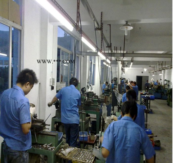 DANNY生产精密级轴承钢 销钉 台阶定位销 标准件 品质高 交期快图2