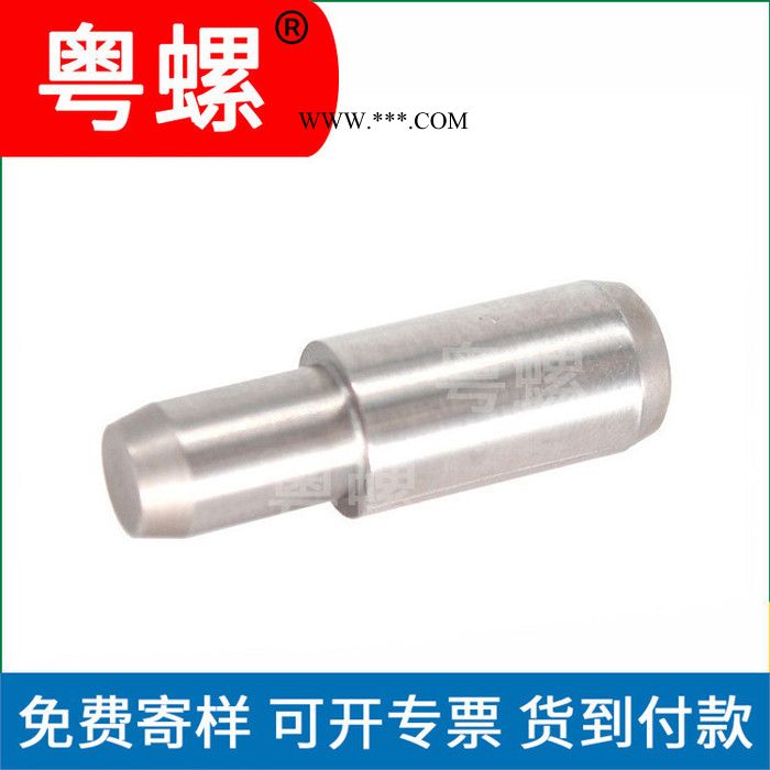 湛江定做不锈钢销轴 实心圆柱定位销平头定位销 平头定位销钉制造商 插销图3