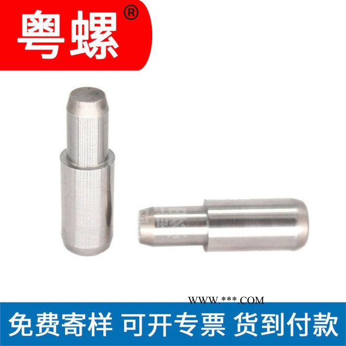 湛江定做不锈钢销轴 实心圆柱定位销平头定位销 平头定位销钉制造商 插销图4