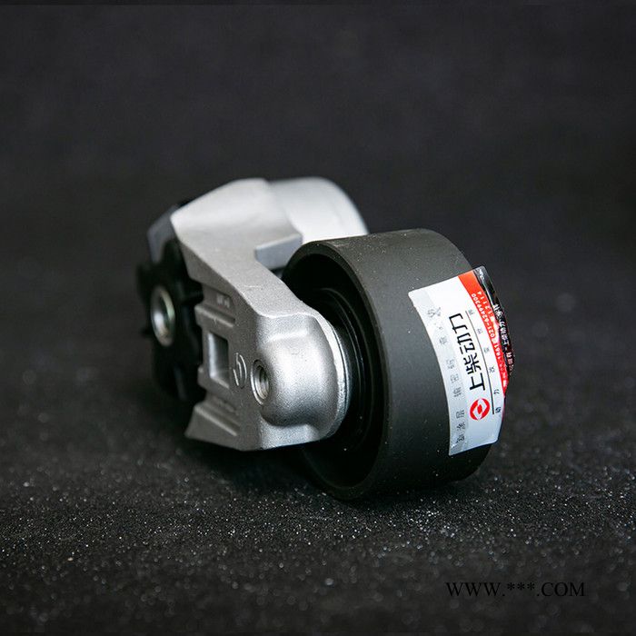 张紧轮D16A-003-03涨紧轮上柴D6114B型 欢迎来电咨询张紧轮轴承图2