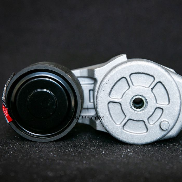 张紧轮D16A-003-03涨紧轮上柴D6114B型 欢迎来电咨询张紧轮轴承图5