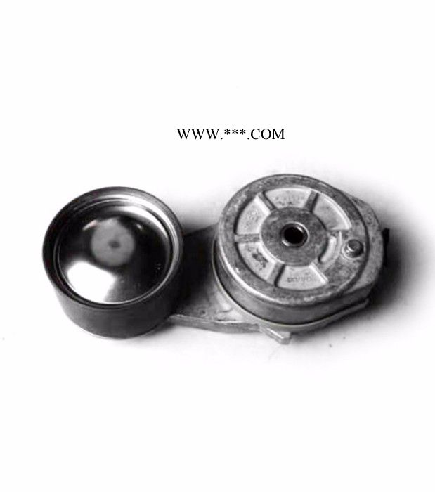 Volvo/沃尔沃 沃尔沃柴油发电机配件 皮带张紧轮 21145261图4