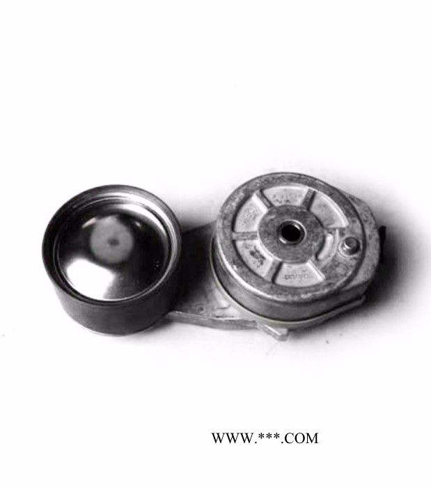 Volvo/沃尔沃 沃尔沃柴油发电机配件 皮带张紧轮 3887305图4