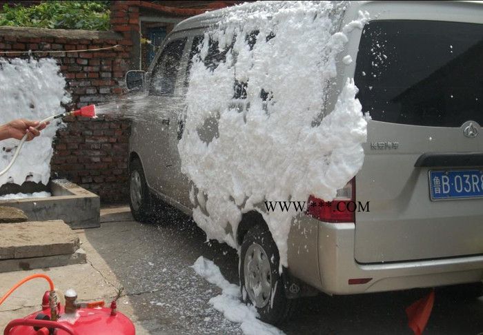 洗车 泡沫包装 洗车水蜡 龟牌 樱桃爽 洗车液 泡沫洗车液图3