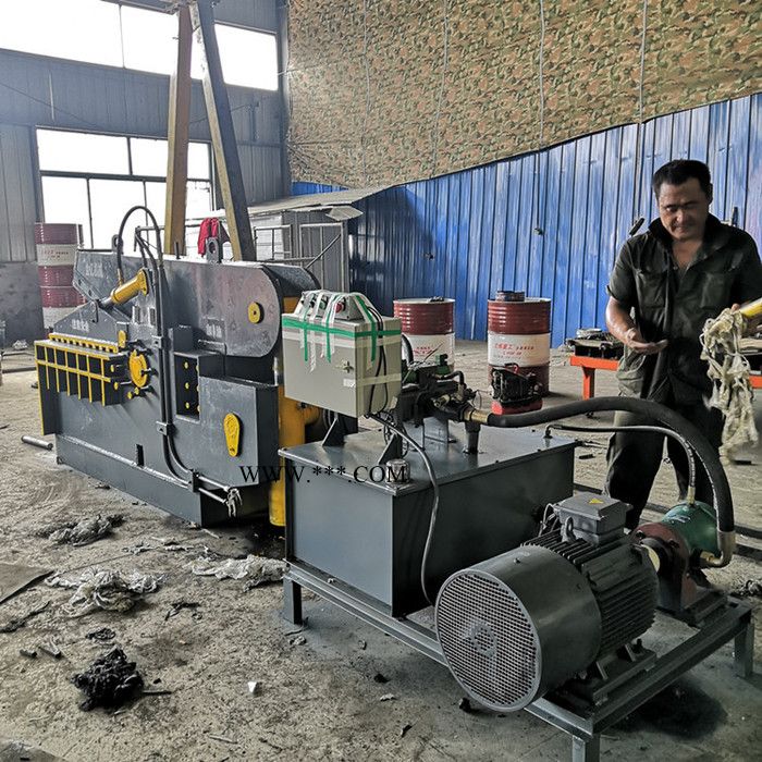 金亿 供应金属边角料剪切机 汽车壳钢丝绳剪断机 液压金属剪切机图2