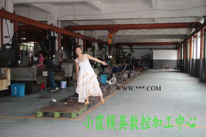 POM塑胶模具制造 柯尼塞格专业制造汽车主机厂模具 保险杠主机厂模具 汽车仪表台主机厂模具 专业制造汽车主机厂模具价格图2