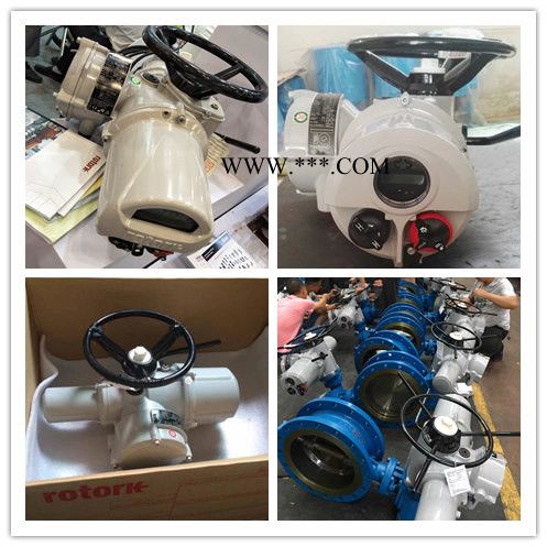 罗托克转矩转速传感器 IQ35，IQ3 MOD20 罗托克电动执行器 IQM2,IQM3 罗托克接触器 罗托克转矩传感器图6