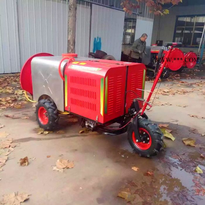 **蔬菜种植打药机   自走式10马力柴油动力打药机  后输出传动轴喷药机图5