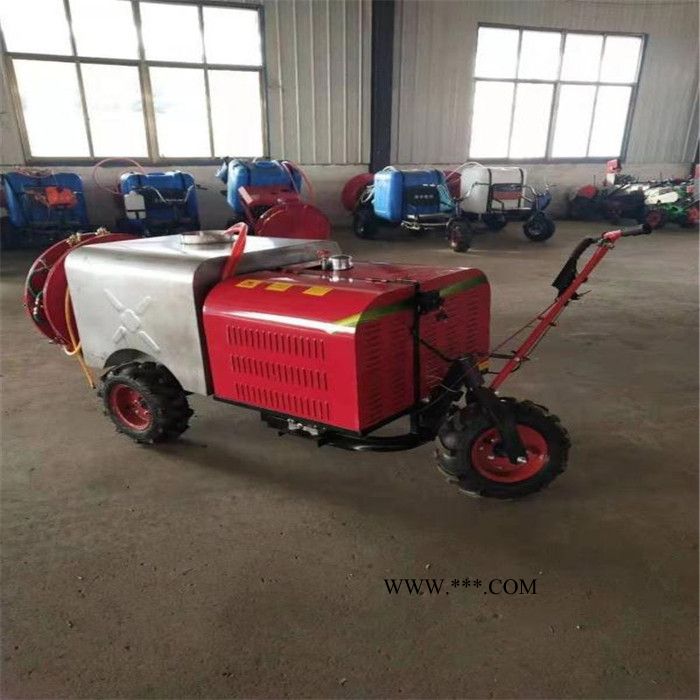 **蔬菜种植打药机   自走式10马力柴油动力打药机  后输出传动轴喷药机图8