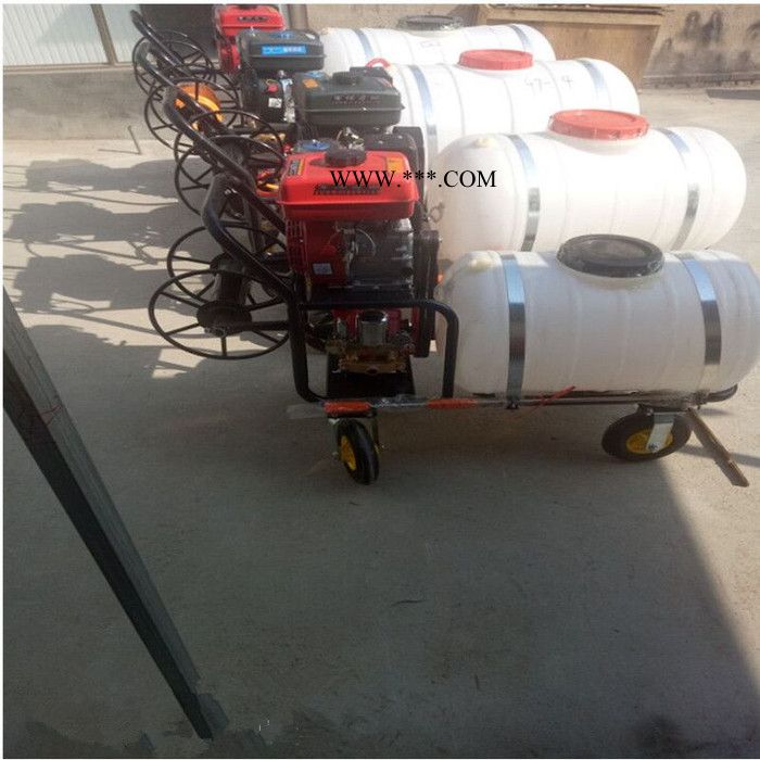 **蔬菜种植打药机   自走式10马力柴油动力打药机  后输出传动轴喷药机图7