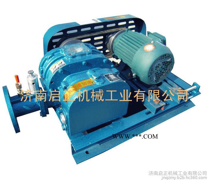 供应 CCR250鼓风机【罗茨鼓风机】  三叶鼓风机 **图5