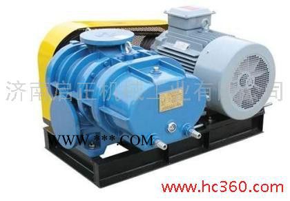 供应 CCR250鼓风机【罗茨鼓风机】  三叶鼓风机 **图4