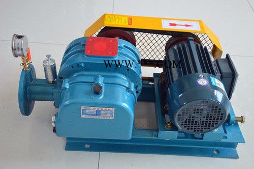 舜都鼓风机 罗茨风机 罗茨鼓风机图2