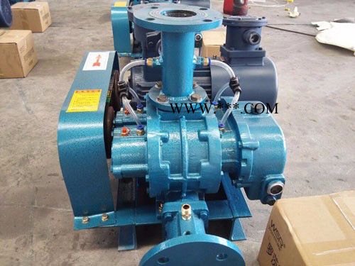 舜都鼓风机 罗茨风机 罗茨鼓风机图3