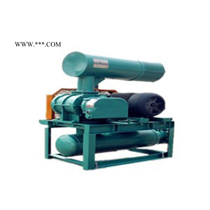 鸿广 罗茨鼓风机销售  罗茨鼓风机生产厂 供应 高品质罗茨鼓风机图2