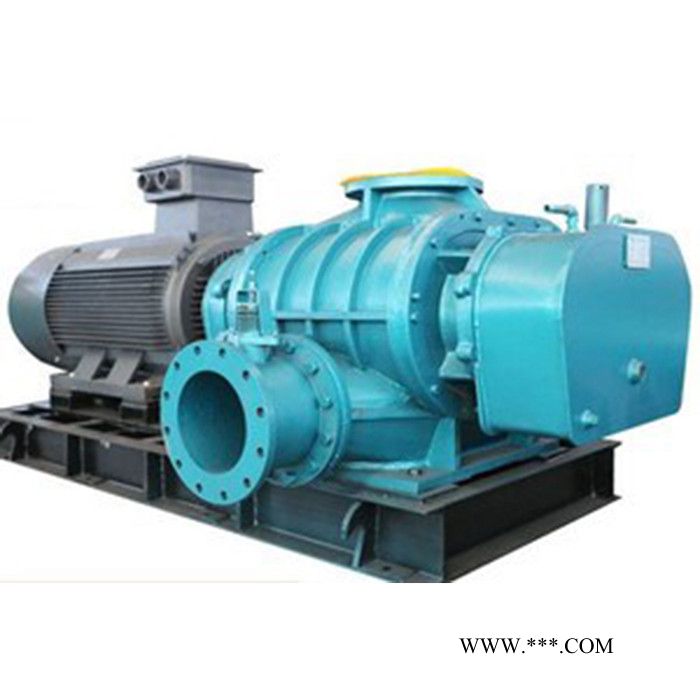 鸿广 罗茨鼓风机销售  罗茨鼓风机生产厂 供应 高品质罗茨鼓风机图4