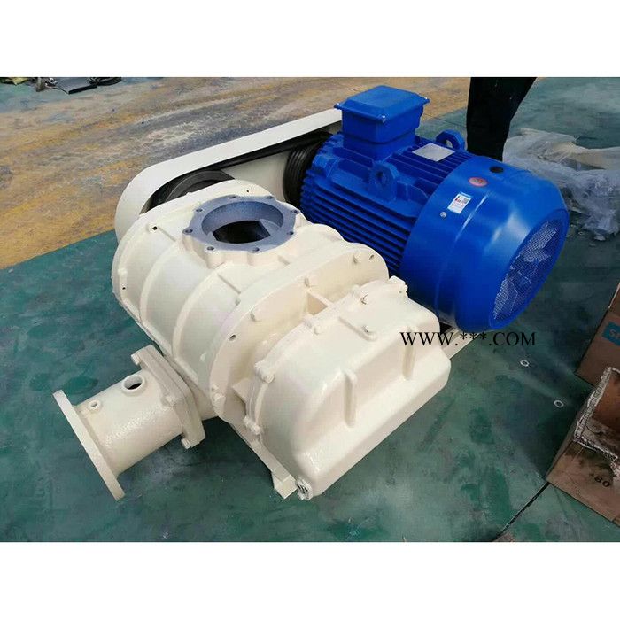 鸿广 罗茨鼓风机销售  罗茨鼓风机生产厂 供应 高品质罗茨鼓风机图6