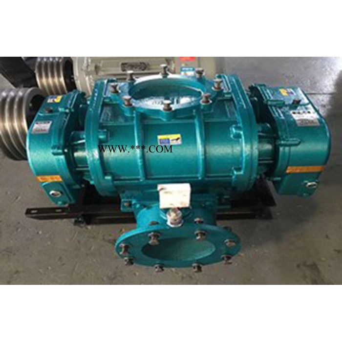 鸿广 罗茨鼓风机销售  罗茨鼓风机生产厂 供应 高品质罗茨鼓风机图8