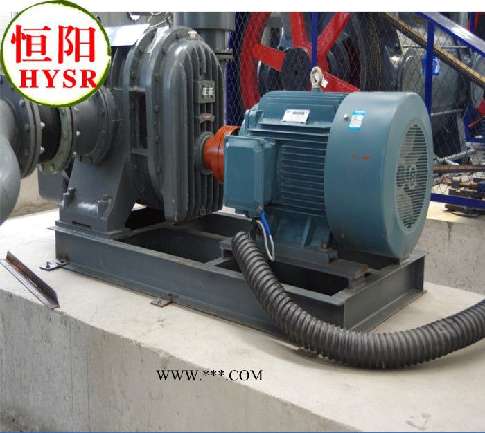 三叶罗茨鼓风机,罗茨鼓风机,鼓风机,章丘鼓风机,罗茨真空泵图2