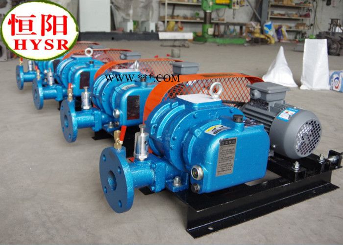 三叶罗茨鼓风机,罗茨鼓风机,鼓风机,章丘鼓风机,罗茨真空泵图4