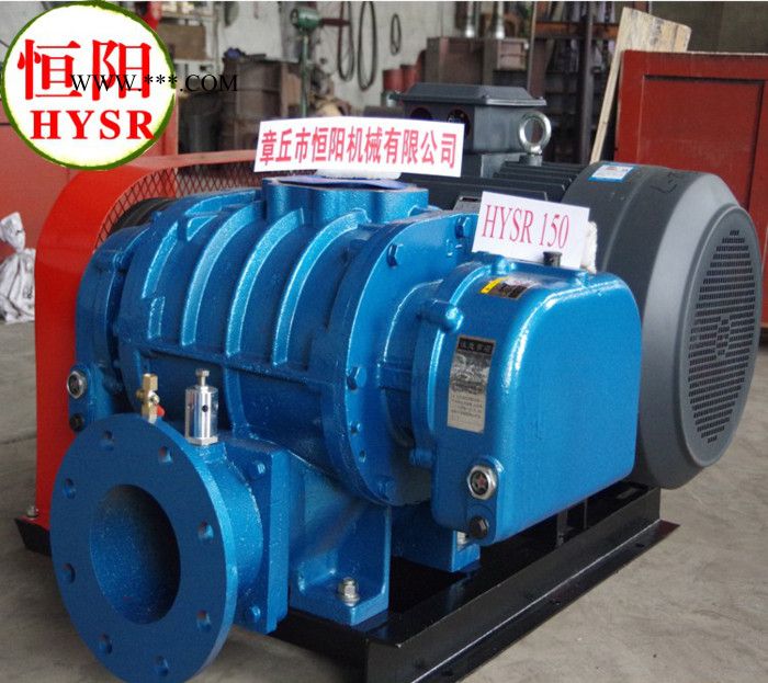 三叶罗茨鼓风机,罗茨鼓风机,鼓风机,章丘鼓风机,罗茨真空泵图3