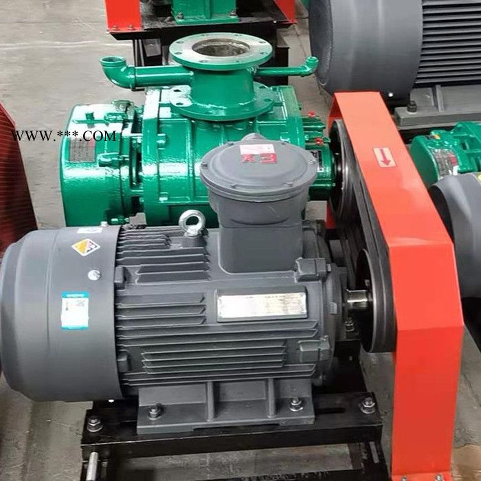 罗茨风机 罗茨鼓风机 增氧机 高压鼓风机图2