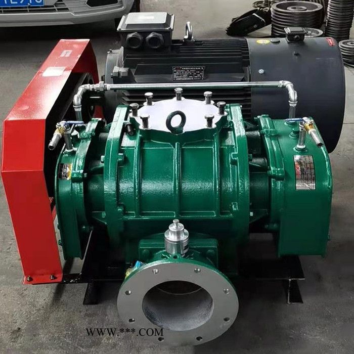 罗茨风机 罗茨鼓风机 增氧机 高压鼓风机图4