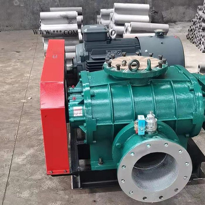 罗茨风机 罗茨鼓风机 增氧机 高压鼓风机图3