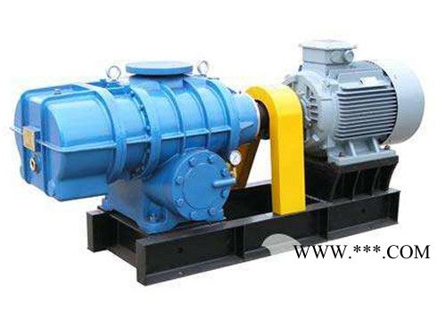 利鑫源   罗茨鼓风机 高压罗茨鼓风机 风机图2