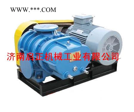 供应启正CCR山东鼓风机/三叶罗茨鼓风机 山东风机 鼓风机/三叶鼓风机图2