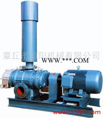 供应恒阳牌 HYSR175 罗茨鼓风机/三叶罗茨鼓风机/罗茨风机罗茨鼓风机罗茨鼓风机图2