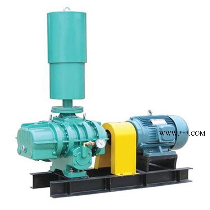 恒宇 罗茨鼓风机  三叶罗茨鼓风机  罗茨风机性能 罗茨鼓风机厂家图2