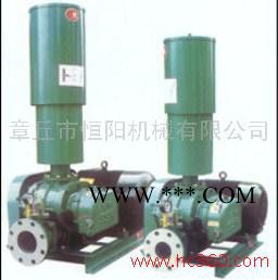 供应罗茨鼓风机/章丘鼓风机/**风机图2