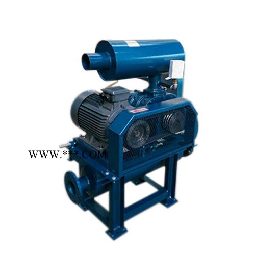 污水处理风机 高压鼓风机 罗茨鼓风机图2