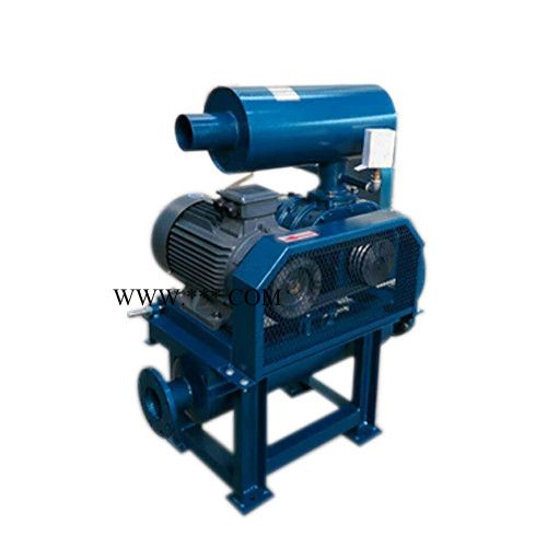 污水处理风机 高压鼓风机 罗茨鼓风机图3