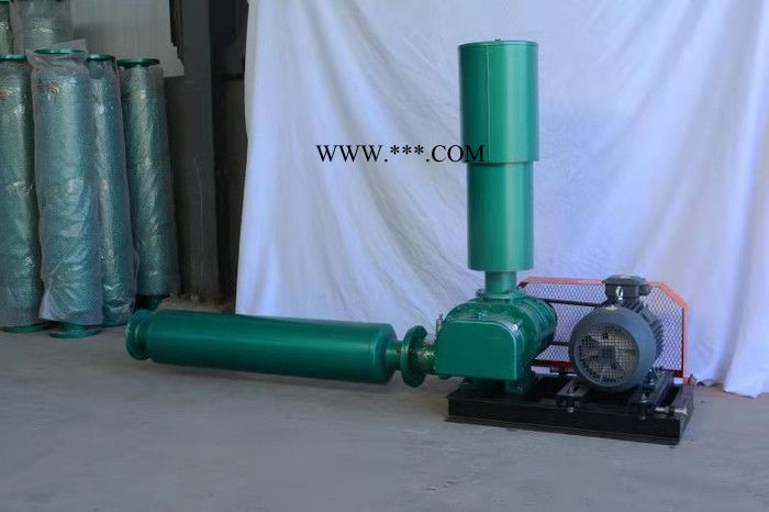 和立HLSR 罗茨鼓风机 两叶罗茨鼓风机 罗茨鼓风机厂家  现货出售图2