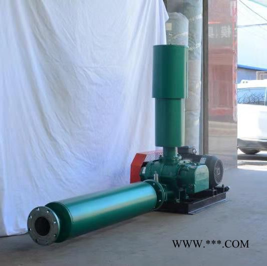 和立HLSR 罗茨鼓风机 两叶罗茨鼓风机 罗茨鼓风机厂家  现货出售图5