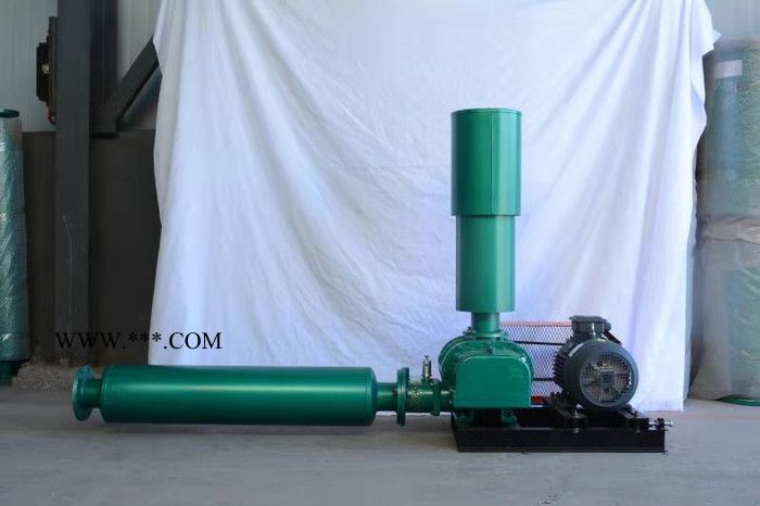 和立HLSR 罗茨鼓风机 两叶罗茨鼓风机 罗茨鼓风机厂家  现货出售图3