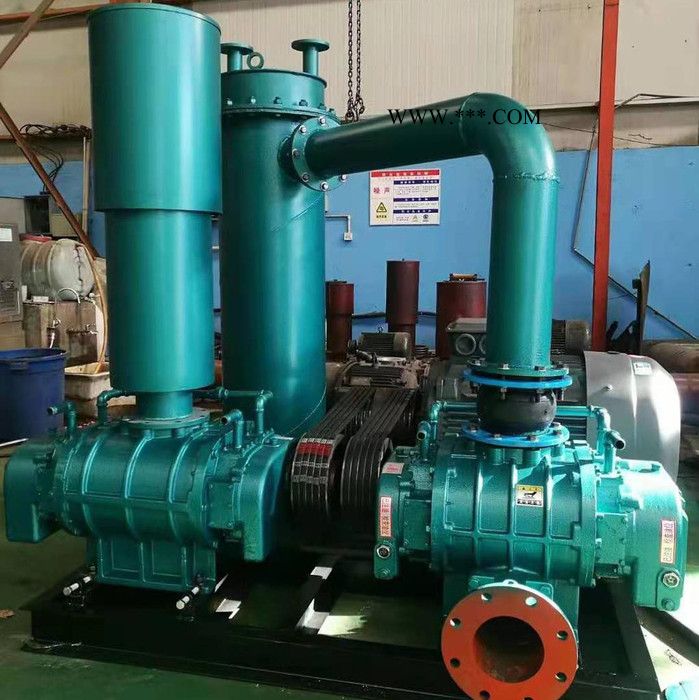 鼓风机  罗茨鼓风机 气力输送污水处理化工 低噪音罗茨鼓风机 污水处理罗茨鼓风机图4