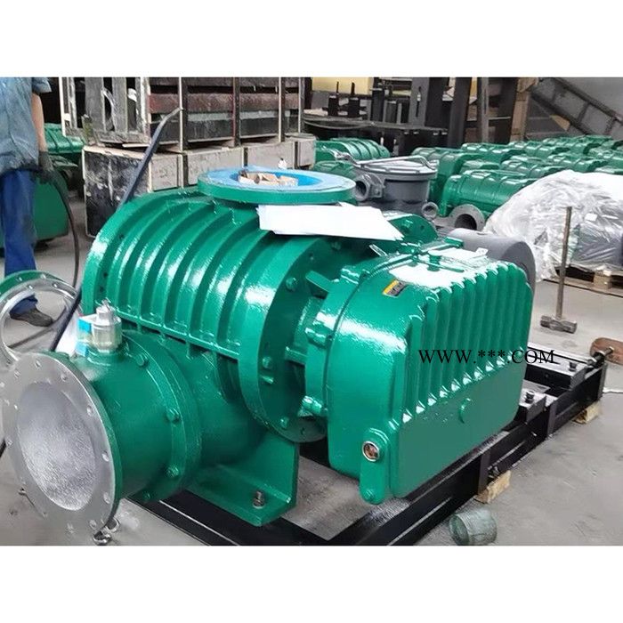 鼓风机  罗茨鼓风机 气力输送污水处理化工 低噪音罗茨鼓风机 污水处理罗茨鼓风机图5