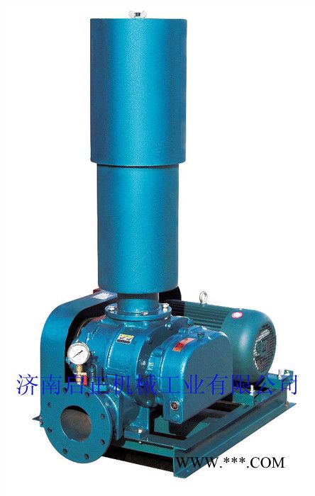 供应 启正 高压风机 罗茨鼓风机 三叶罗茨鼓风机 诚信经营图2