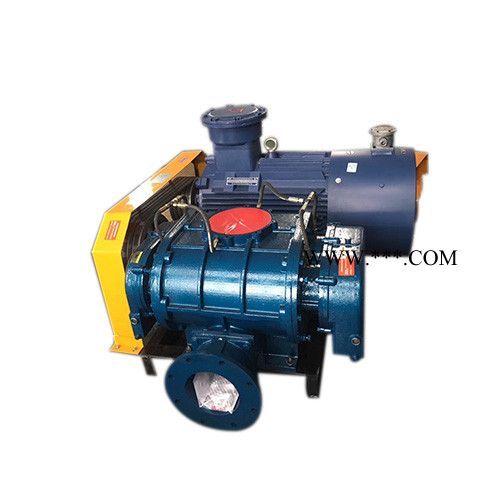 鼓风机用途 低压罗茨风机 罗茨鼓风机厂家图2