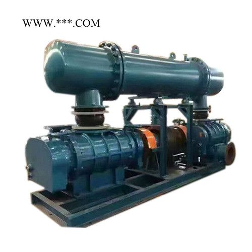 大型鼓风机 YGSR-300双机串联型风机 低压鼓风机厂家图2