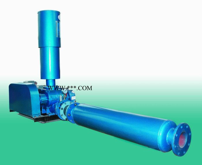 供应【啟正】牌鼓风机 启正直销三叶罗茨鼓风机 三叶罗茨风机厂家销售图5