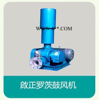 供应【啟正】牌鼓风机 启正直销三叶罗茨鼓风机 三叶罗茨风机厂家销售图2