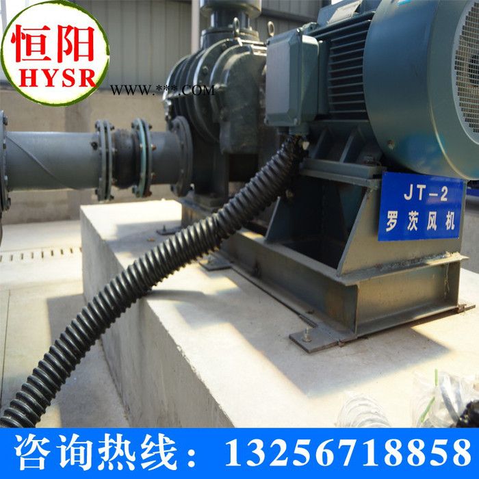 供应恒阳牌罗茨鼓风机/三叶罗茨鼓风机 明阳牌罗茨鼓风机/三叶罗茨鼓风机图3