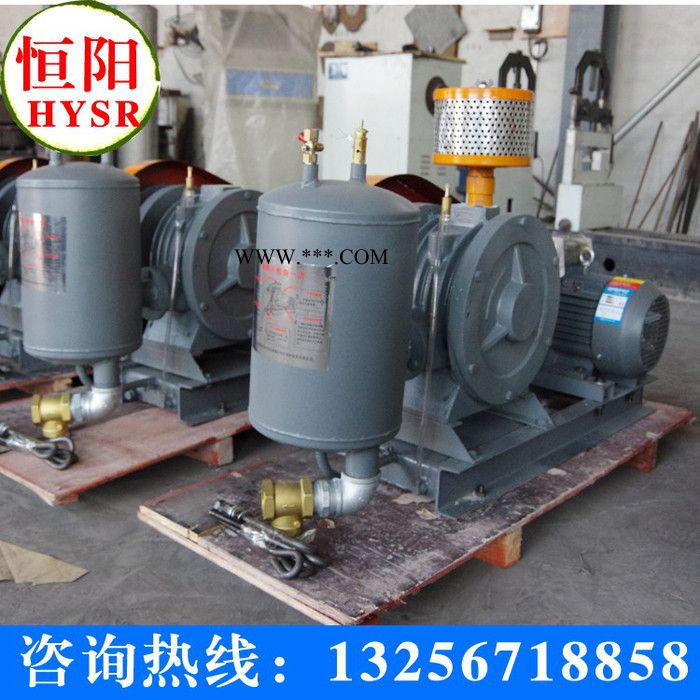 供应恒阳牌罗茨鼓风机/三叶罗茨鼓风机 明阳牌罗茨鼓风机/三叶罗茨鼓风机图2