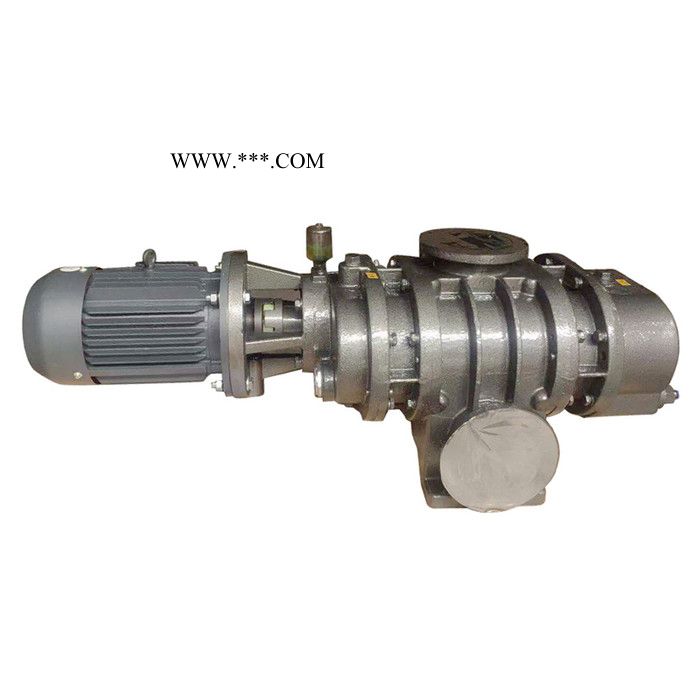 兴德G40-1 罗茨鼓风机 三叶罗茨风机 双级高压罗茨鼓风机 罗茨鼓风机厂家图3