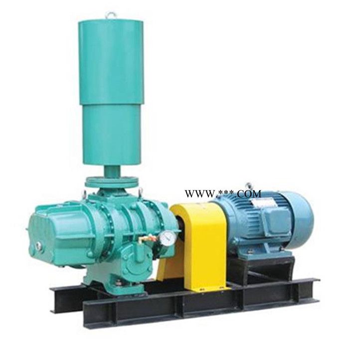 恒宇 罗茨风机 高压鼓风机生产厂家 罗茨鼓风机厂家 现货出售图3